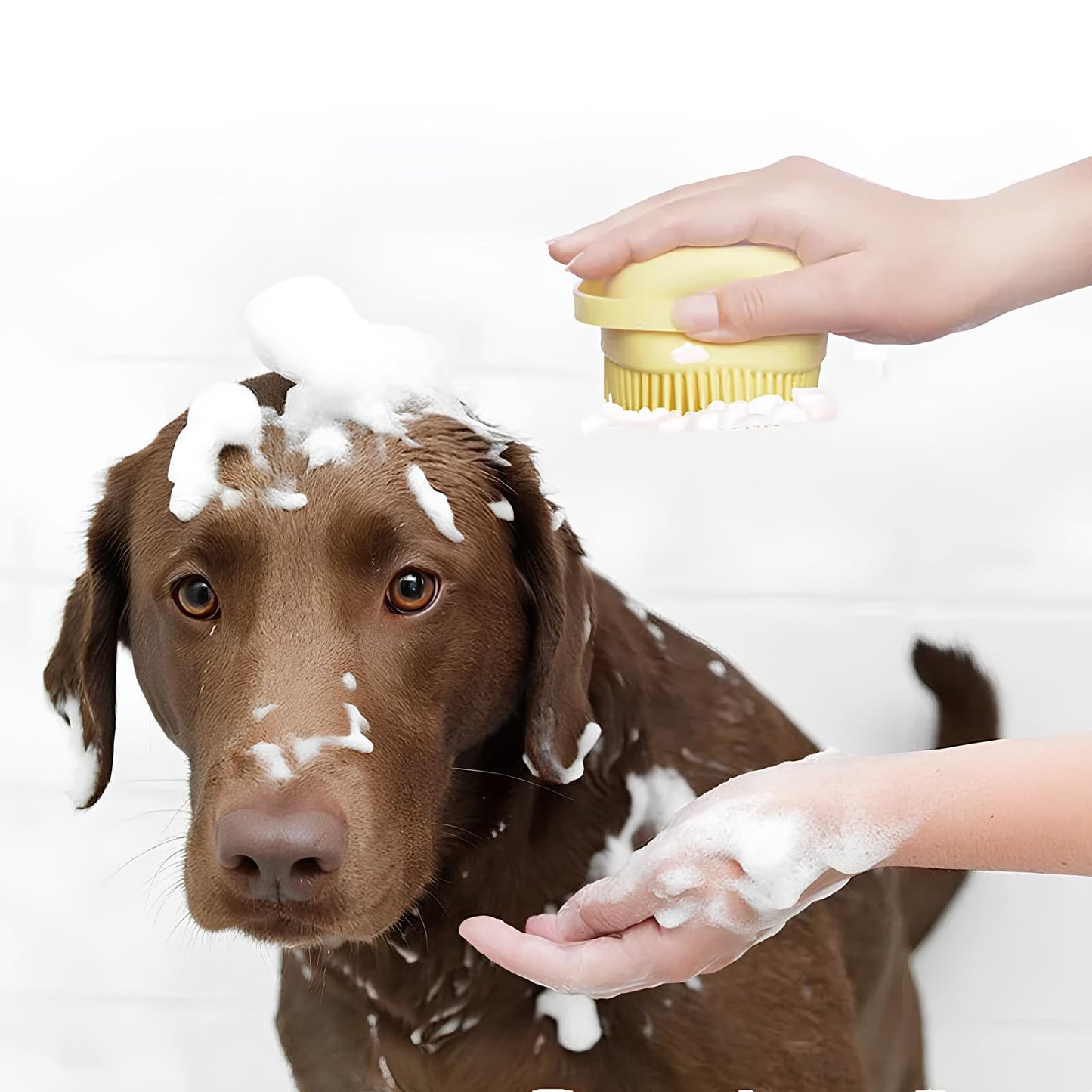 Bath Time Puppy Dog Cat Silicone Brush - Homevalley.co.uk