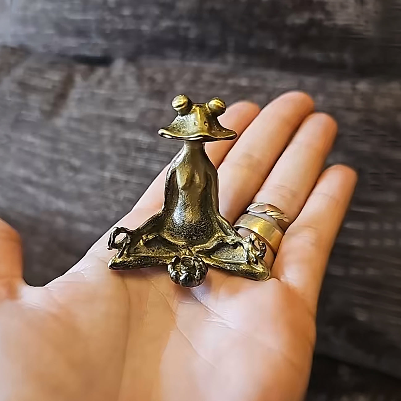 Brass Colour Meditating Frog Figurine Incense Holder – Zen Décor for Mindfulness and Meditation - Homevalley.co.uk