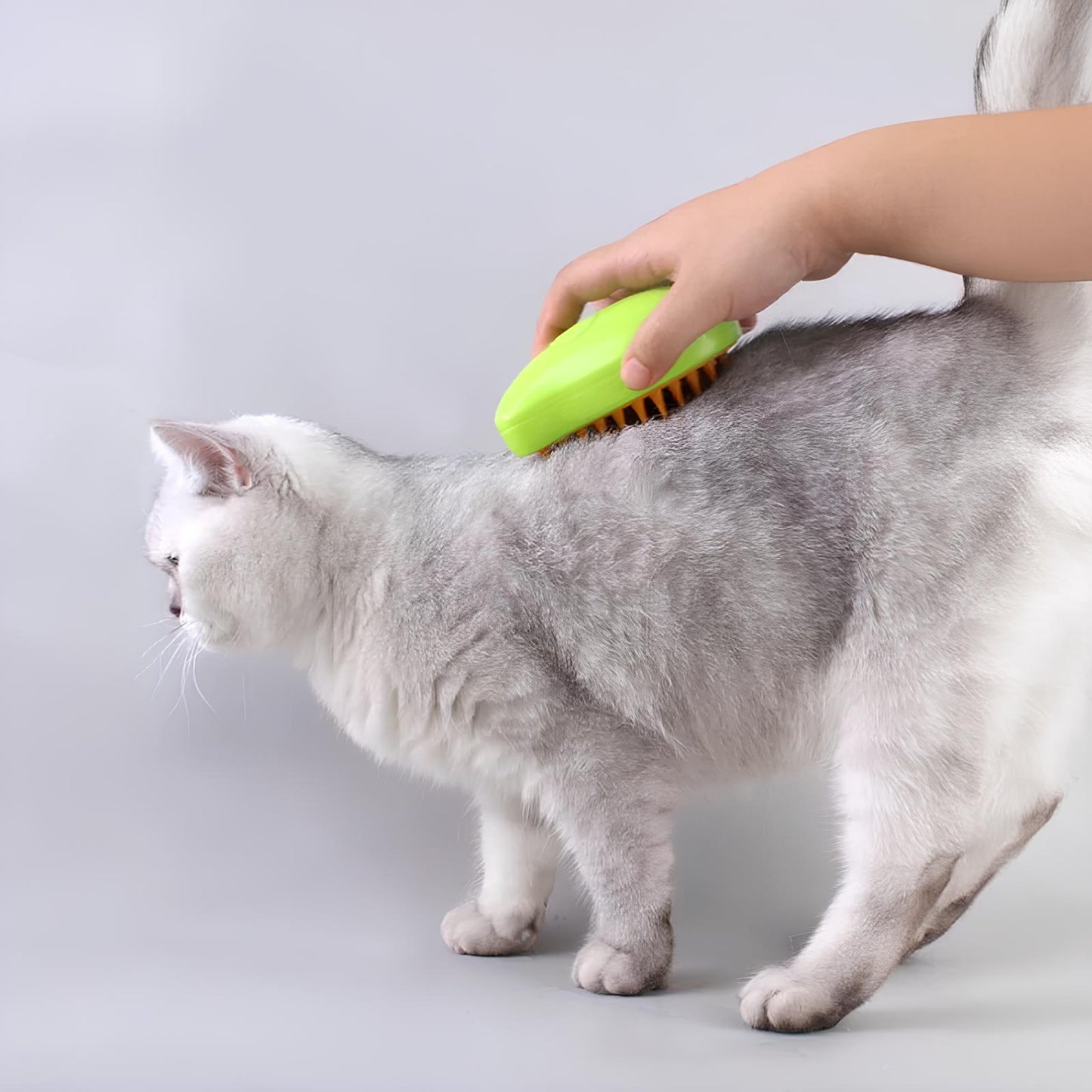 Cat Grooming Steam Brush, Pet Comb - Homevalley.co.uk
