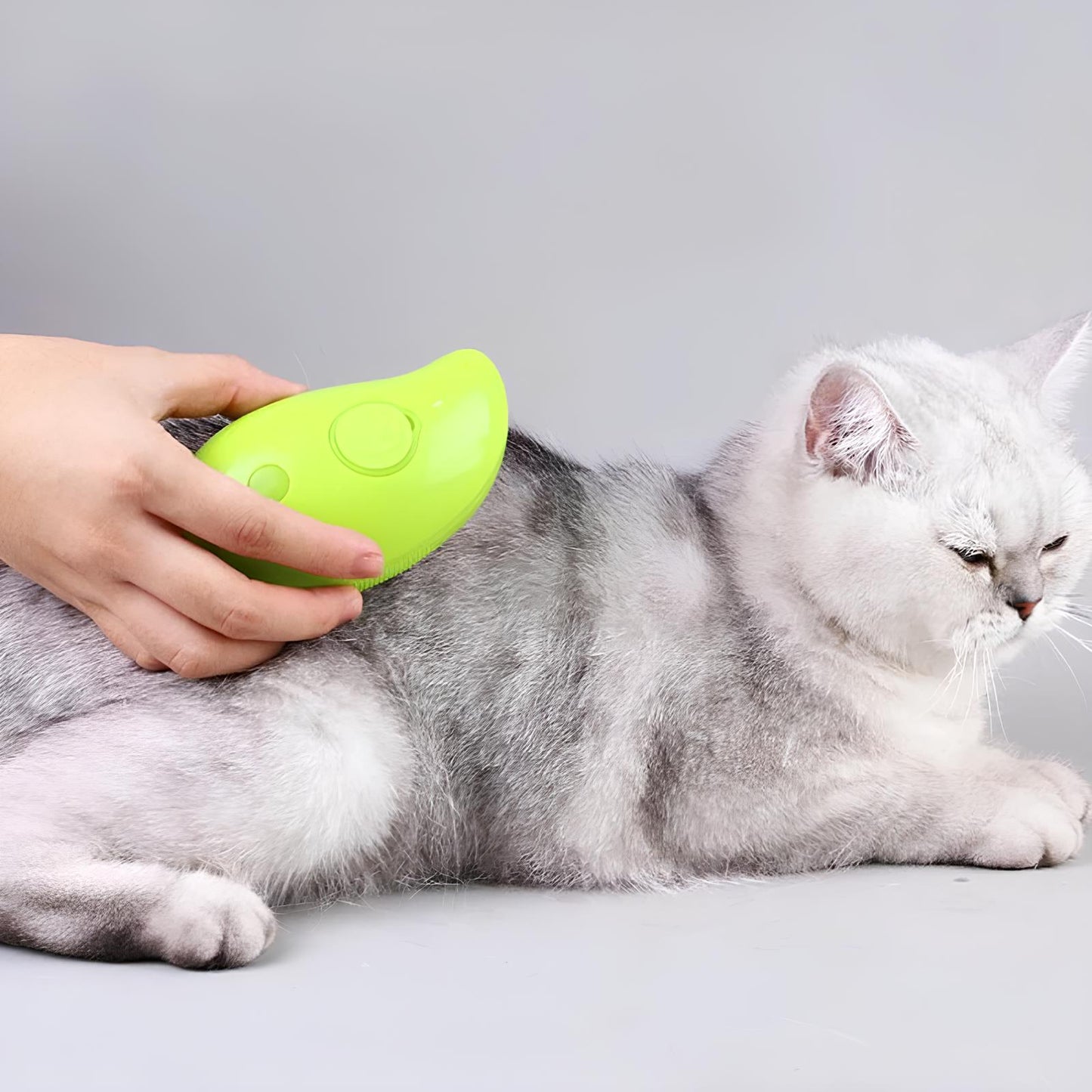 Cat Grooming Steam Brush, Pet Comb - Homevalley.co.uk