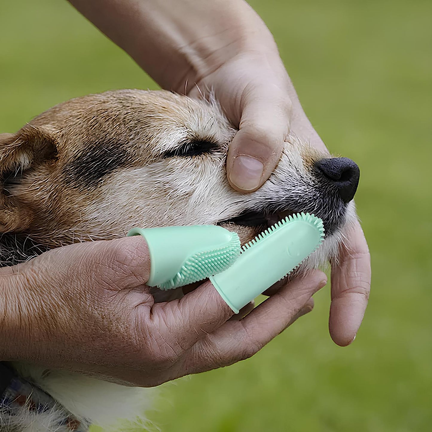 Dog Silicone Finger Toothbrush - Homevalley.co.uk