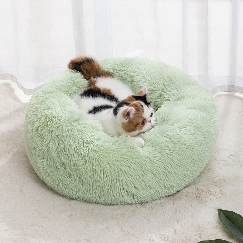 Round Cat Bed - Homevalley.co.uk