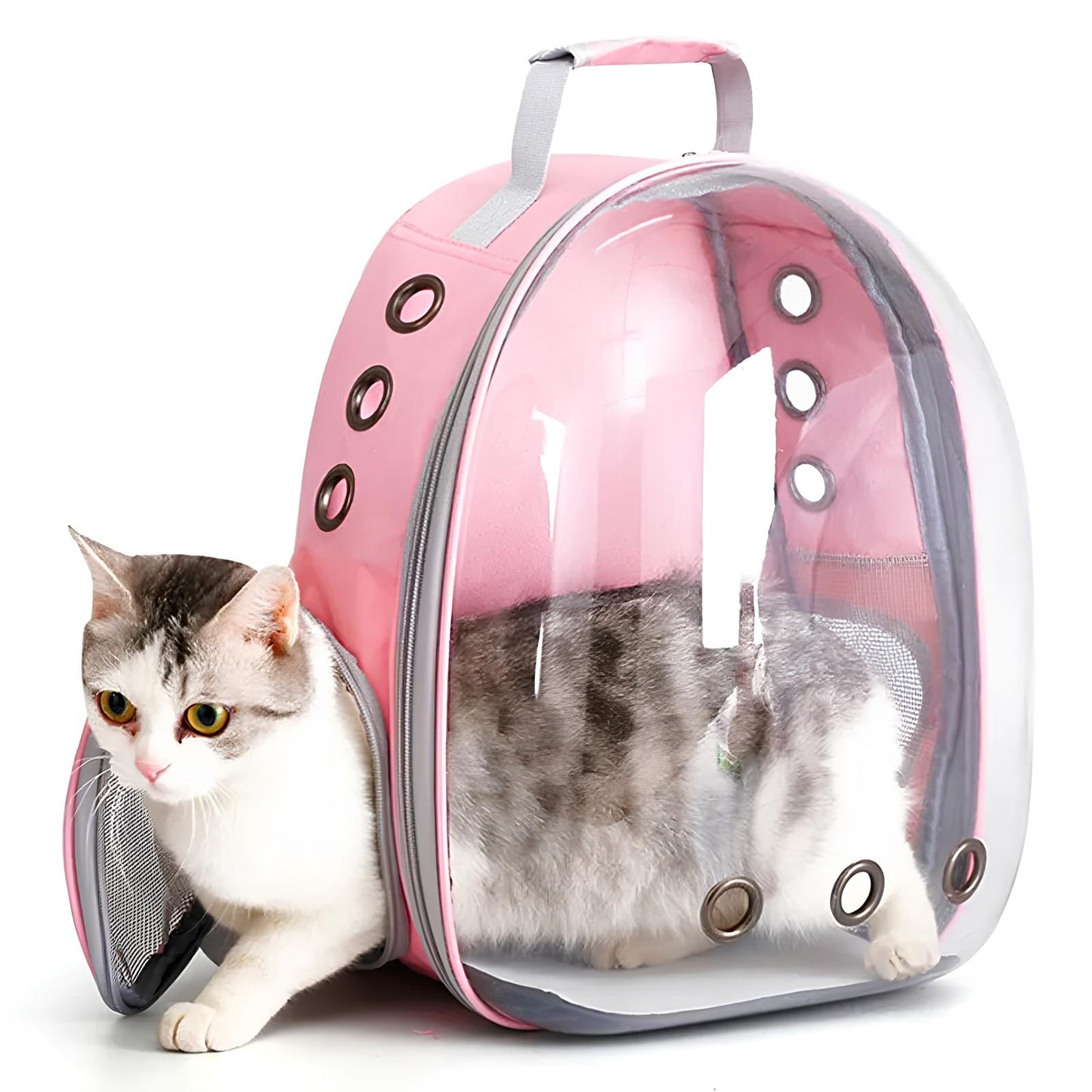 Transparent Capsule Bubble Breathable Travel Pet Carrier Backpack - Homevalley.co.uk