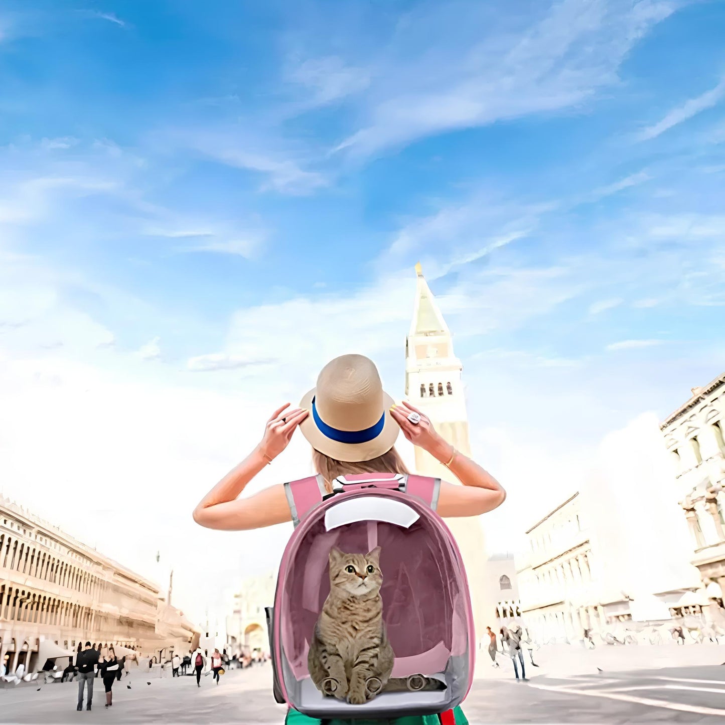 Transparent Capsule Bubble Breathable Travel Pet Carrier Backpack - Homevalley.co.uk