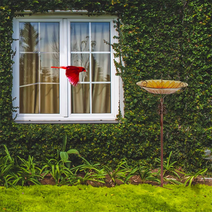 Flower Glass Bird Bath, Feeding Station, Height 63 cm