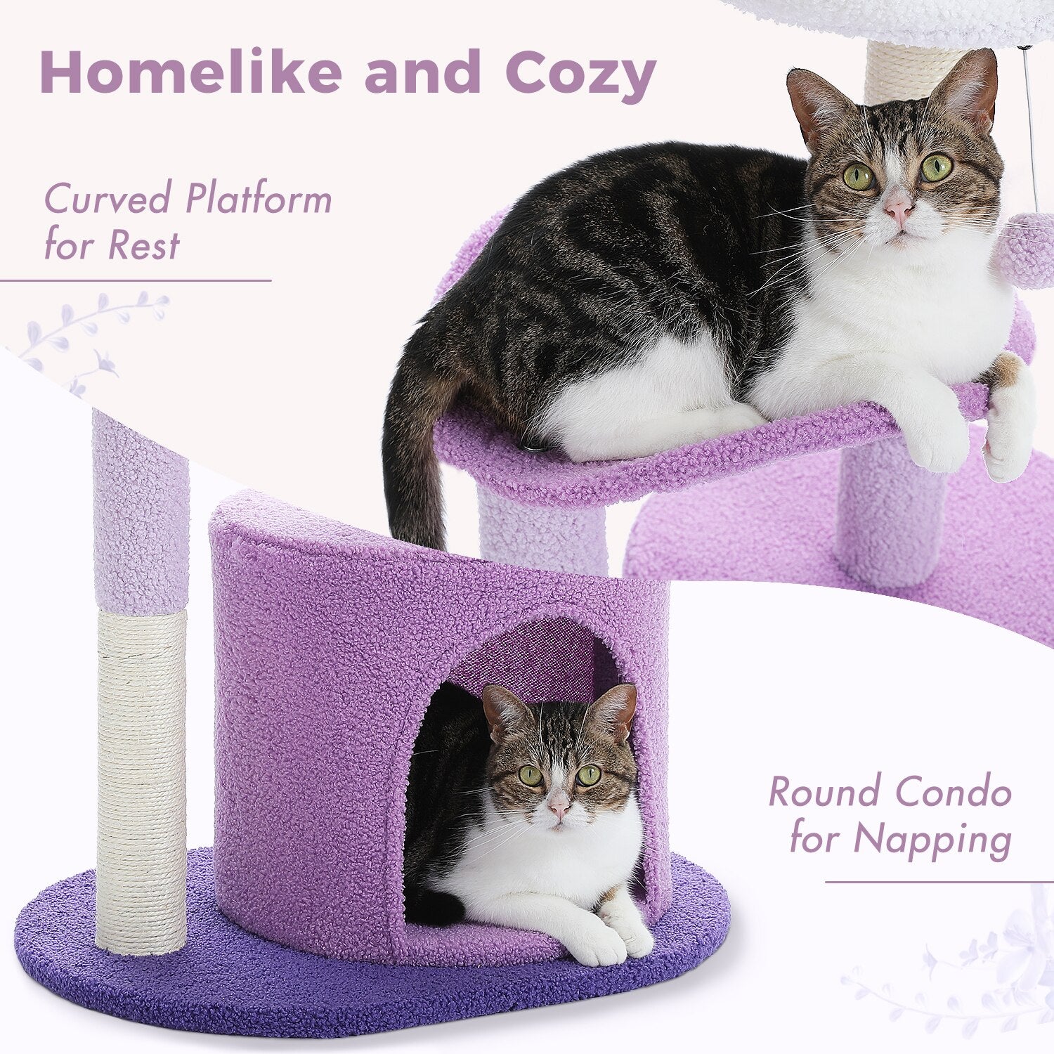 Cat House and Scratching Post - Homevalley.co.uk