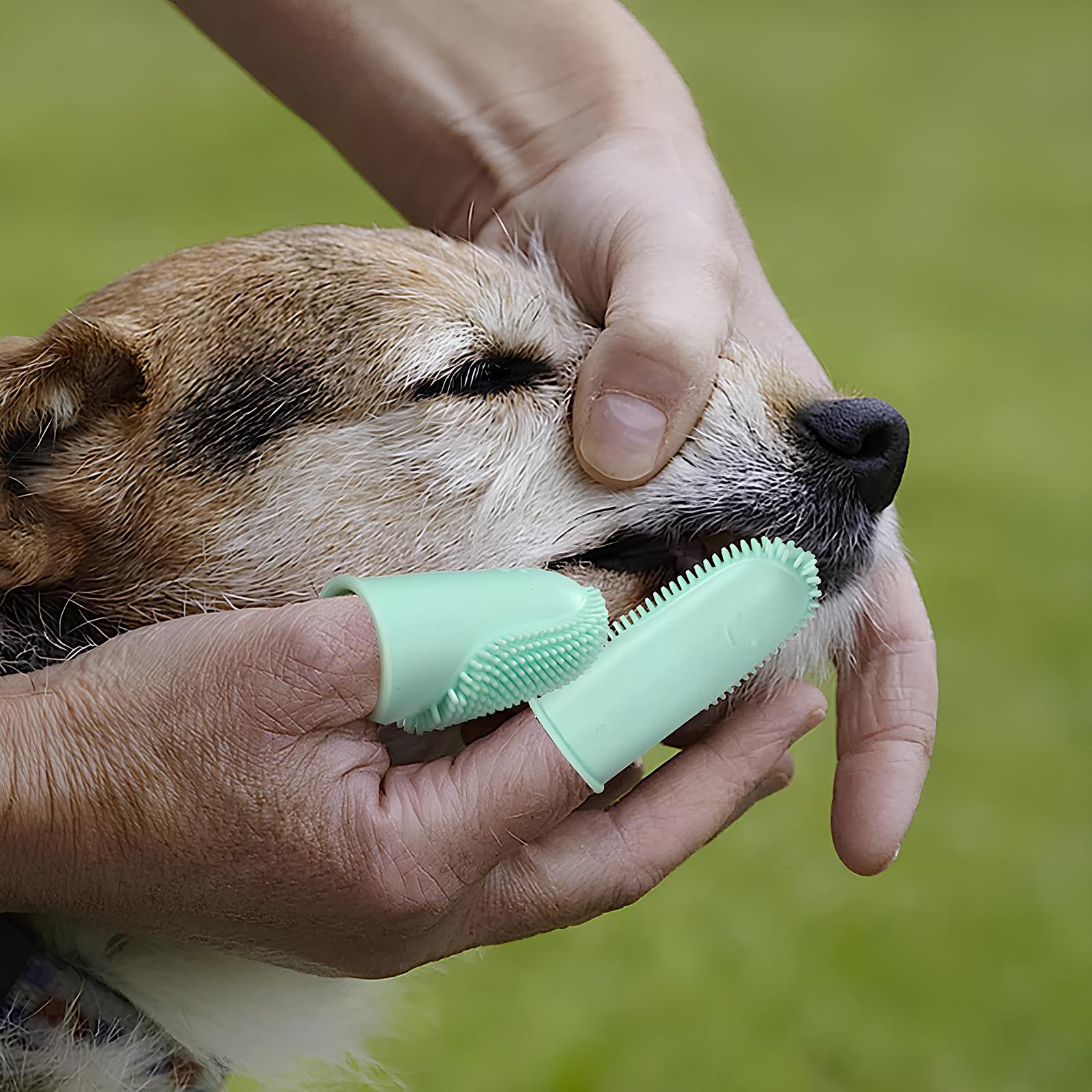 Dog Silicone Finger Toothbrush - Homevalley.co.uk