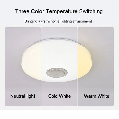 Smart Ceiling Lamp Bluetooth Music Light With Remote Control - Homevalley.co.uk